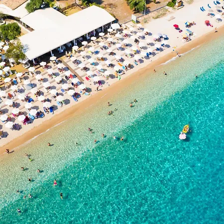 Noulia Kinopiásztesz