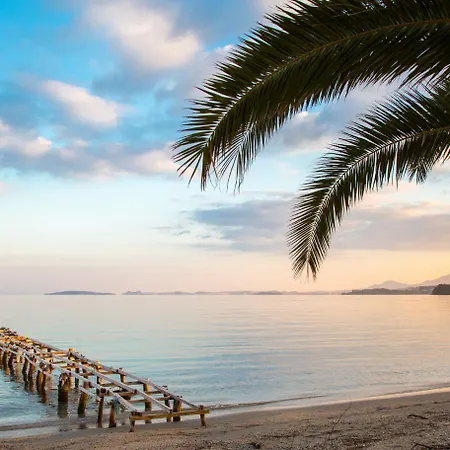 Noulia * Kynopiástai