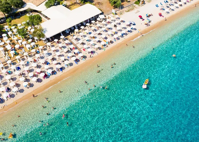 Noulia Κυνοπιάστες